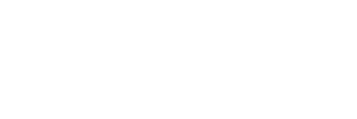 FlashFin